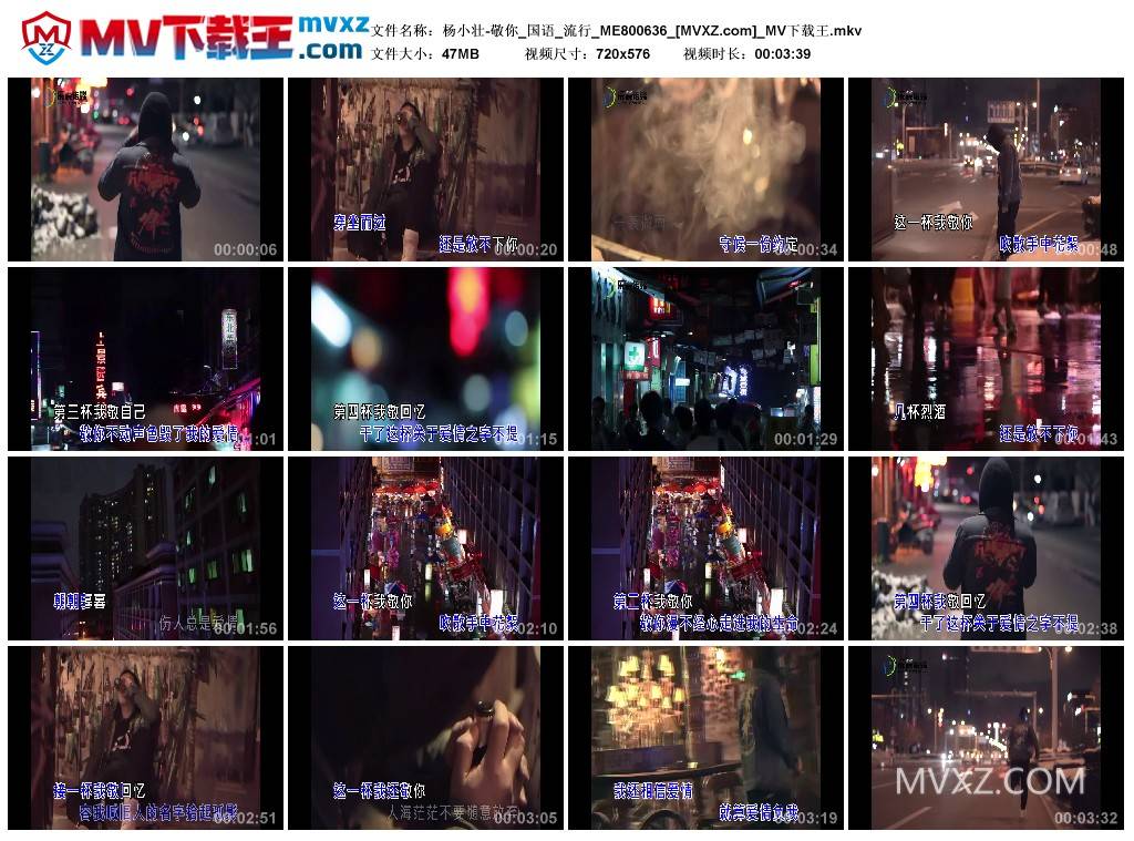 杨小壮-敬你_国语_流行_ME800636